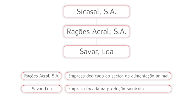 Estrutura Societária da Sicasal